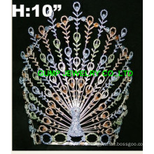 peacock crown
